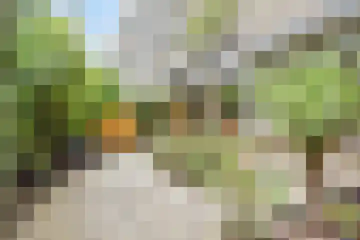 Granaathorst 17 Den Haag thumbnail 18