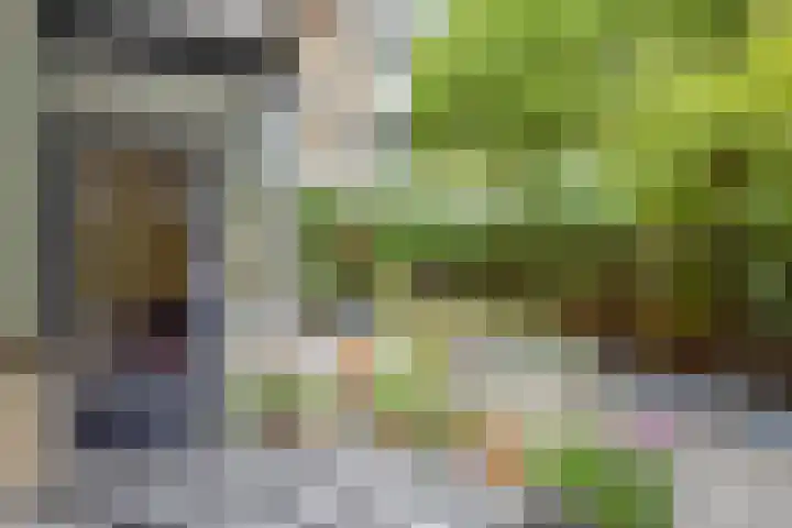 Granaathorst 17 Den Haag thumbnail 19
