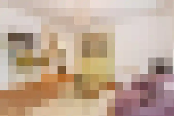 Granaathorst 17 Den Haag thumbnail 20