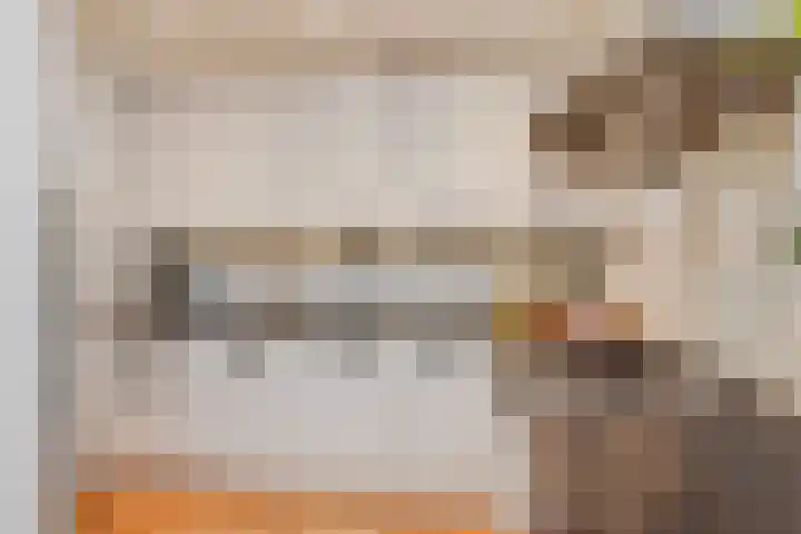 Granaathorst 17 Den Haag thumbnail 22