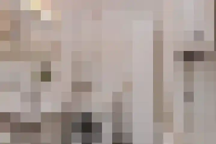 Granaathorst 17 Den Haag thumbnail 27