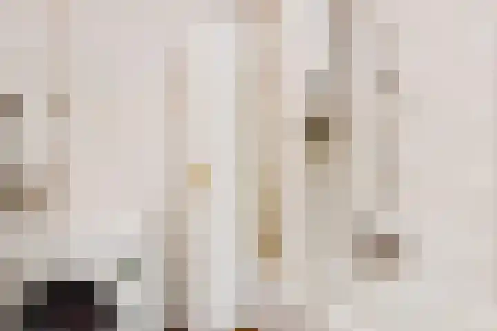 Granaathorst 17 Den Haag thumbnail 28