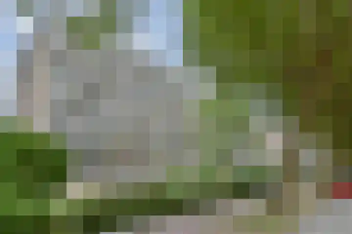 Granaathorst 17 Den Haag thumbnail 35
