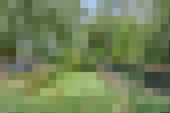Granaathorst 17 Den Haag thumbnail 36