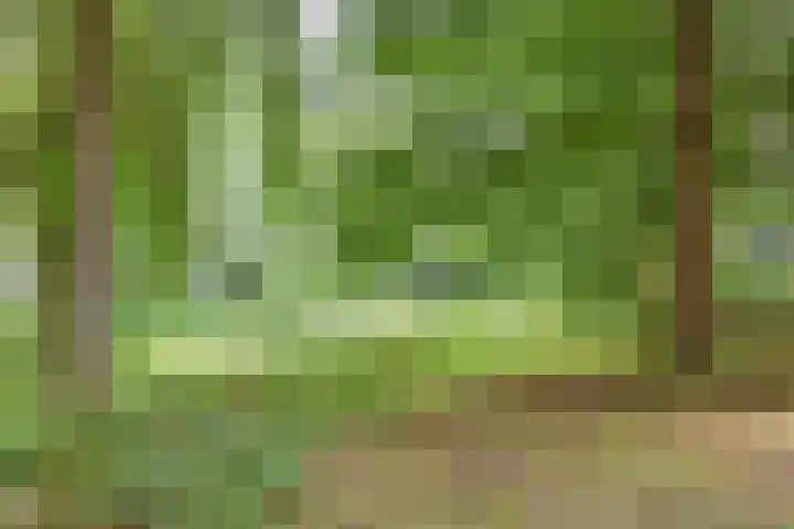 Granaathorst 17 Den Haag thumbnail 37