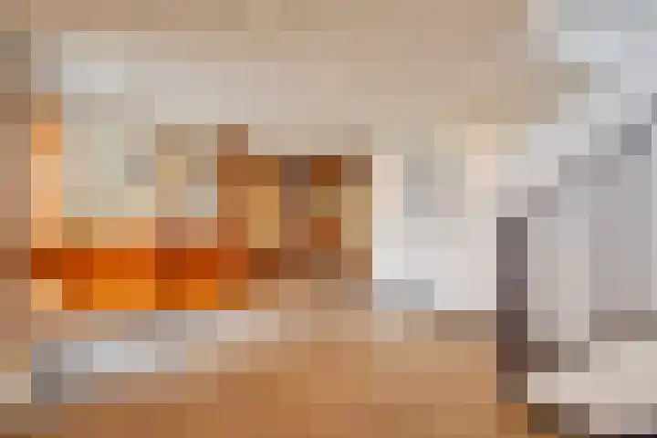 Granaathorst 17 Den Haag thumbnail 8