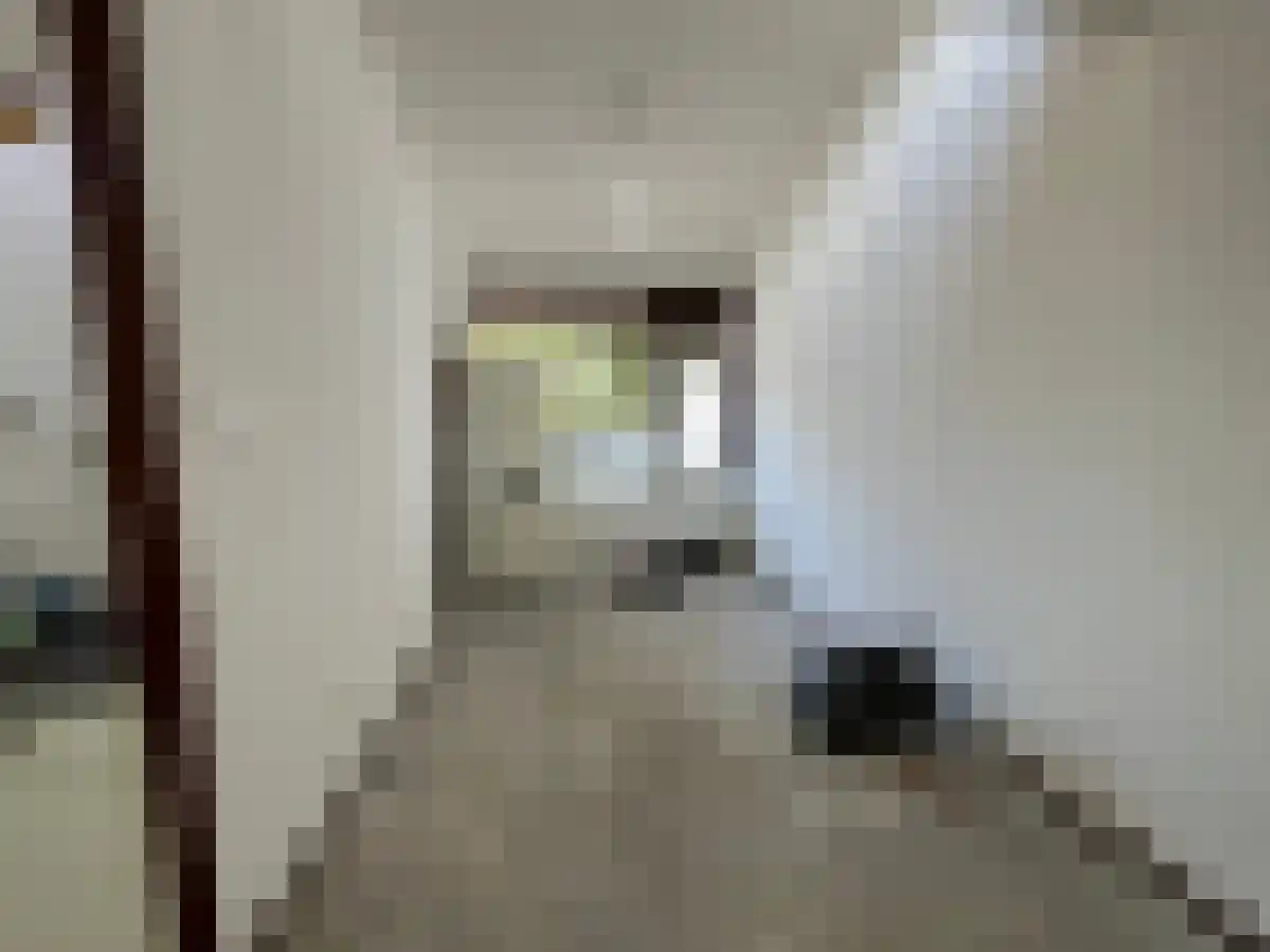 Granaathorst 179 Den Haag thumbnail 5