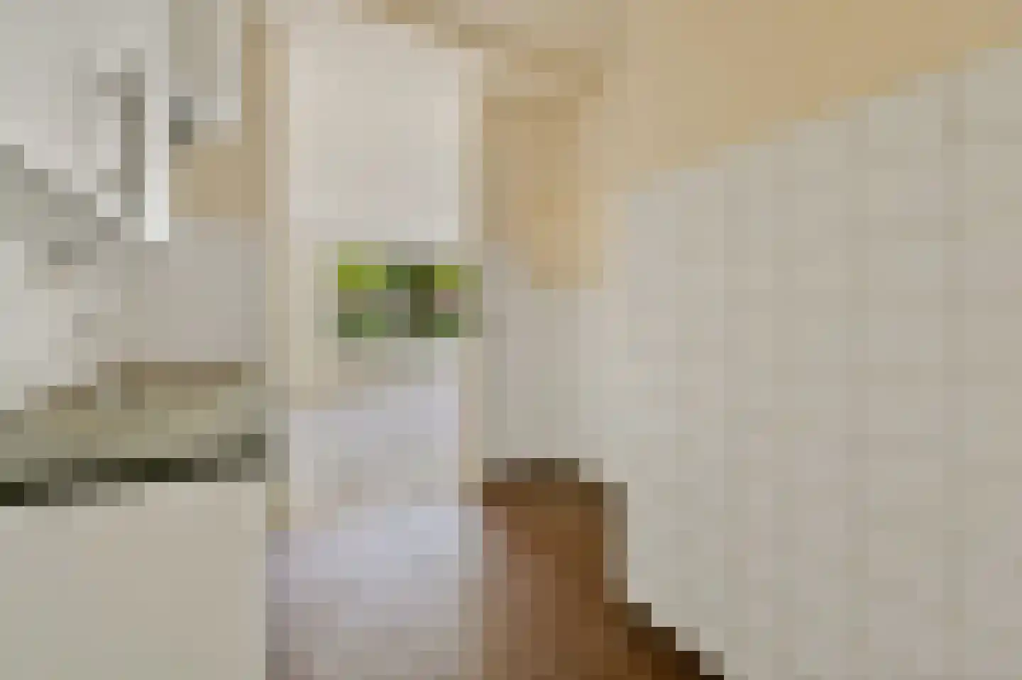 Granaathorst 187 Den Haag thumbnail 11