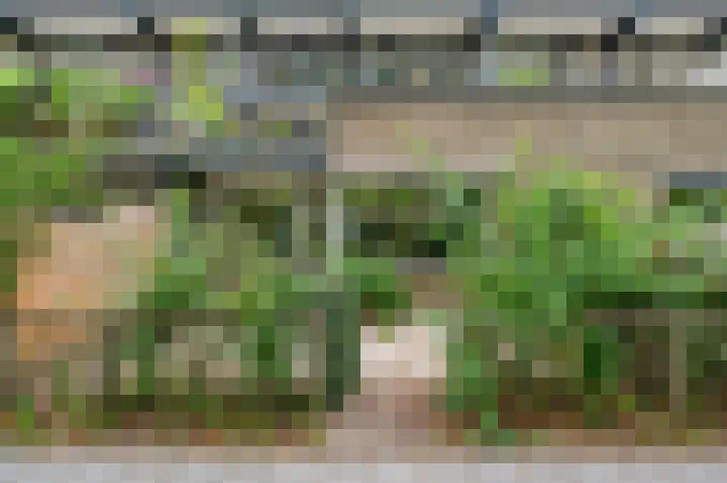 Granaathorst 187 Den Haag thumbnail 16