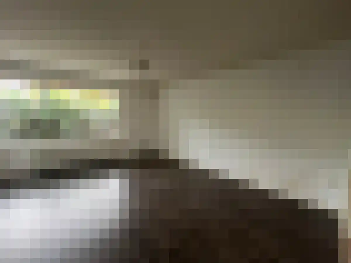 Granaathorst 189 Den Haag thumbnail 6