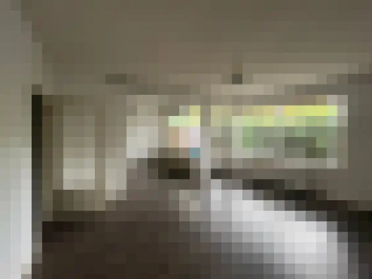 Granaathorst 189 Den Haag thumbnail 7