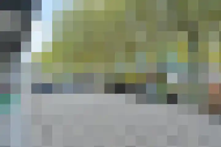 Granaathorst 201 Den Haag thumbnail 22