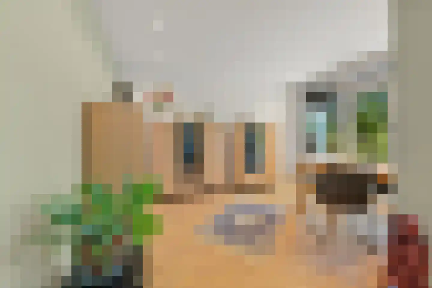 Granaathorst 213 Den Haag thumbnail 23
