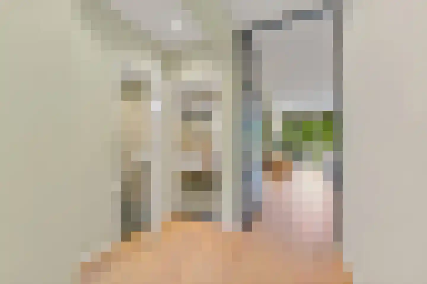 Granaathorst 213 Den Haag thumbnail 29