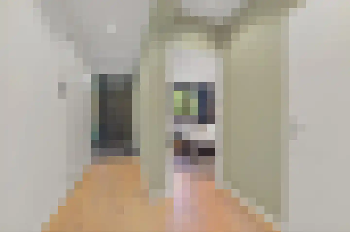 Granaathorst 213 Den Haag thumbnail 33