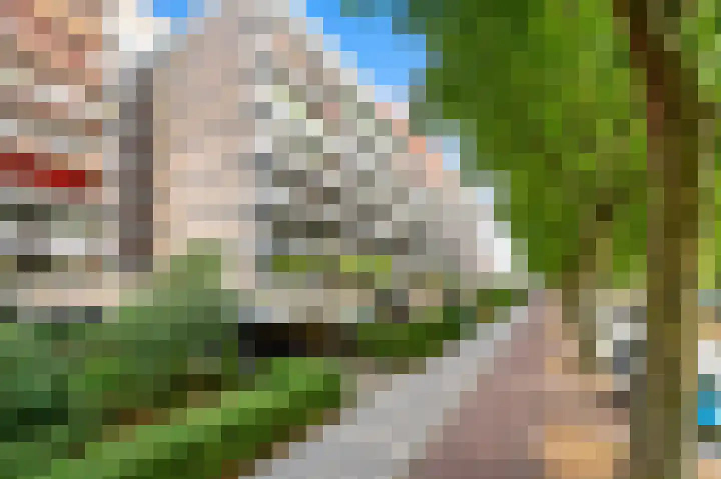 Granaathorst 213 Den Haag thumbnail 8