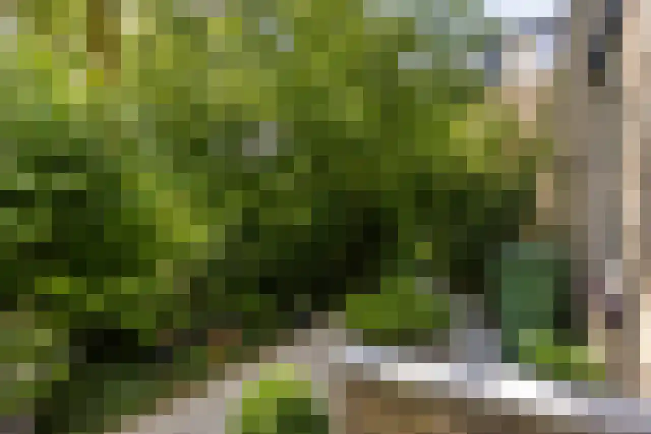 Granaathorst 33 Den Haag thumbnail 18