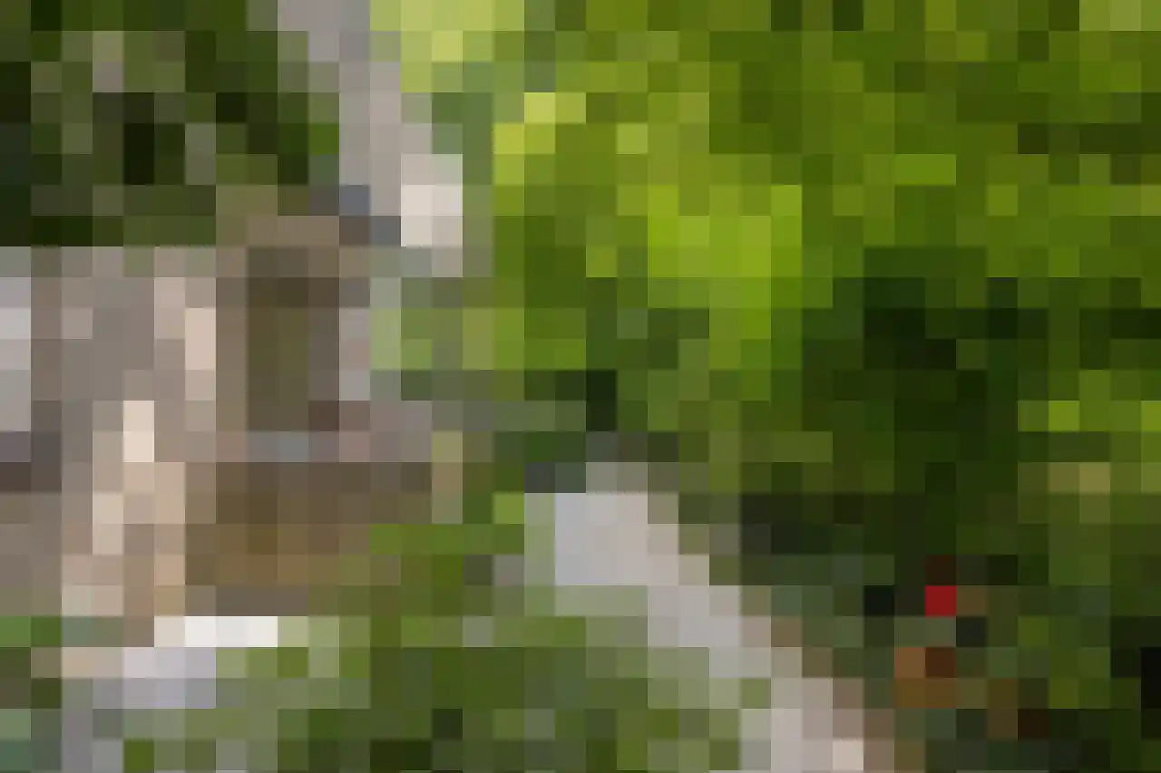 Granaathorst 33 Den Haag thumbnail 19