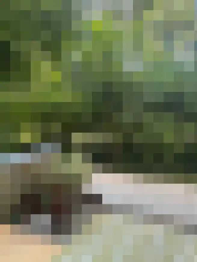 Granaathorst 33 Den Haag thumbnail 5