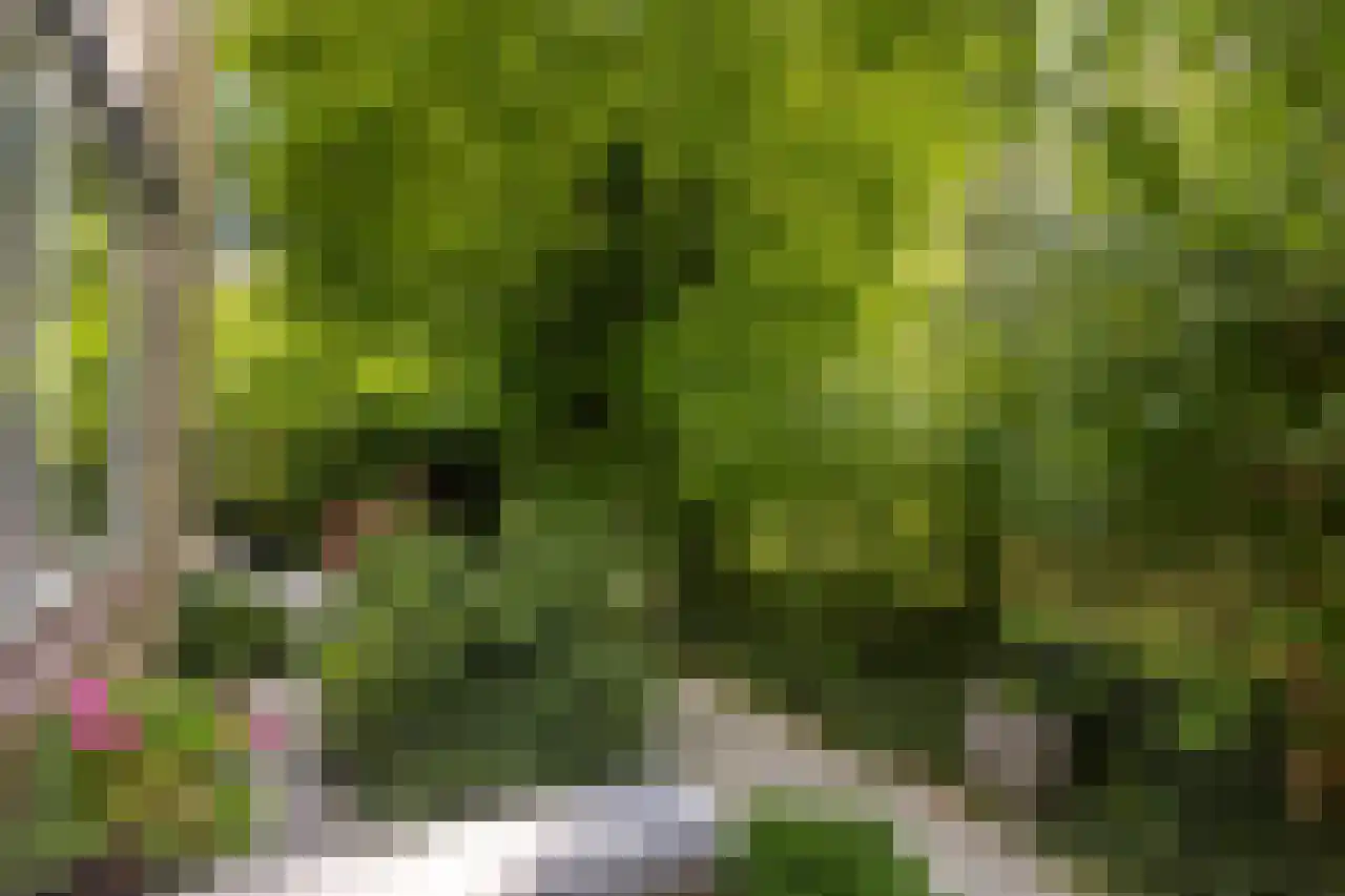 Granaathorst 33 Den Haag thumbnail 6