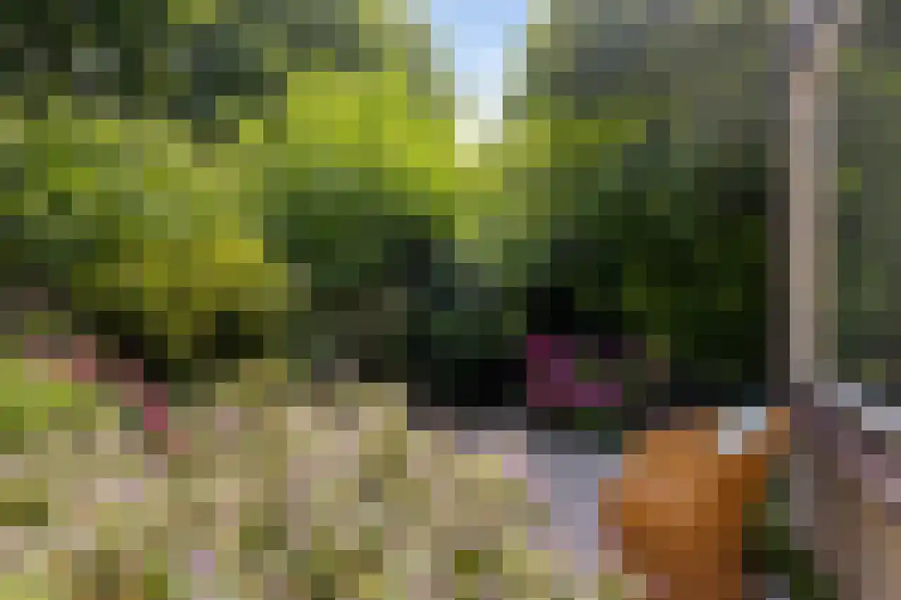 Granaathorst 33 Den Haag thumbnail 7
