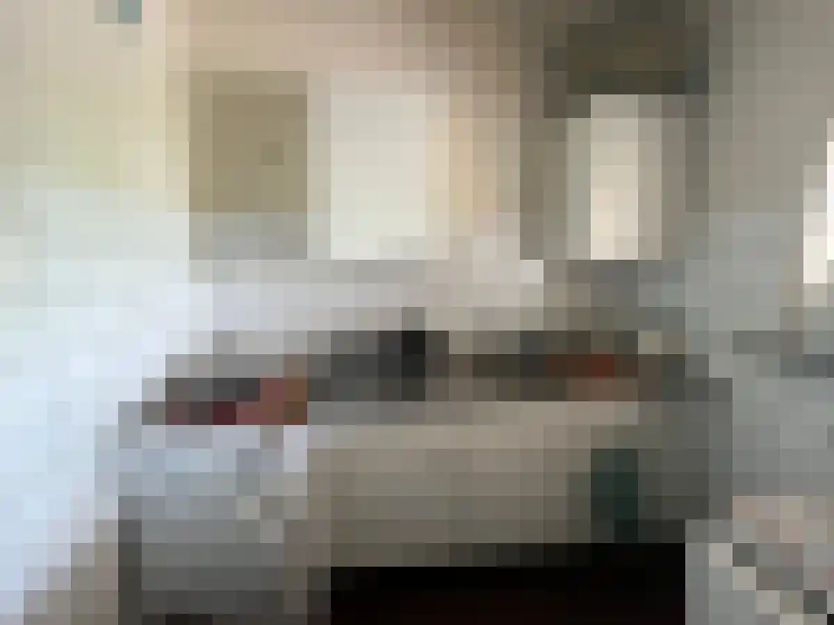 Granaathorst 355 Den Haag thumbnail 5