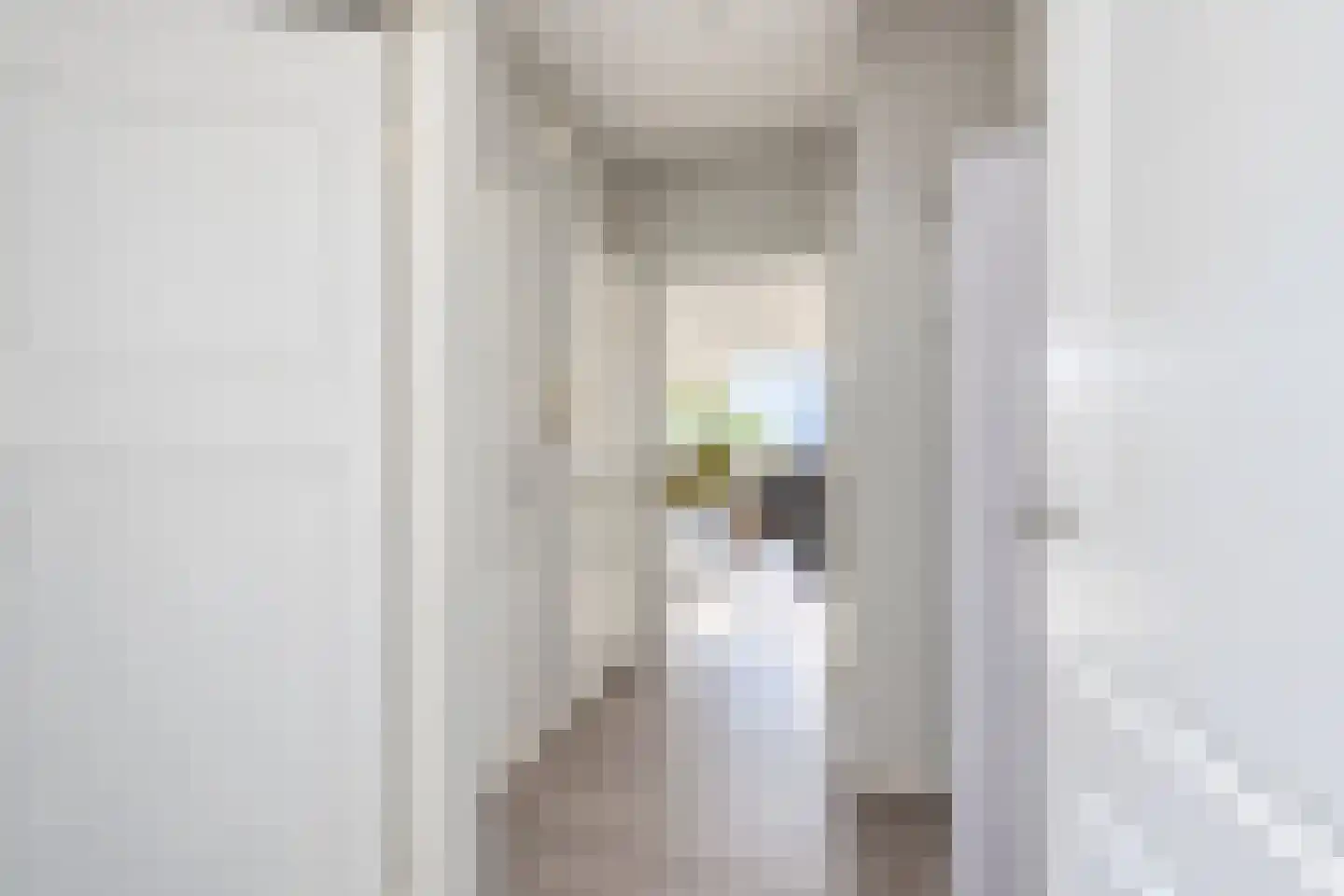 Granaathorst 375 Den Haag thumbnail 10