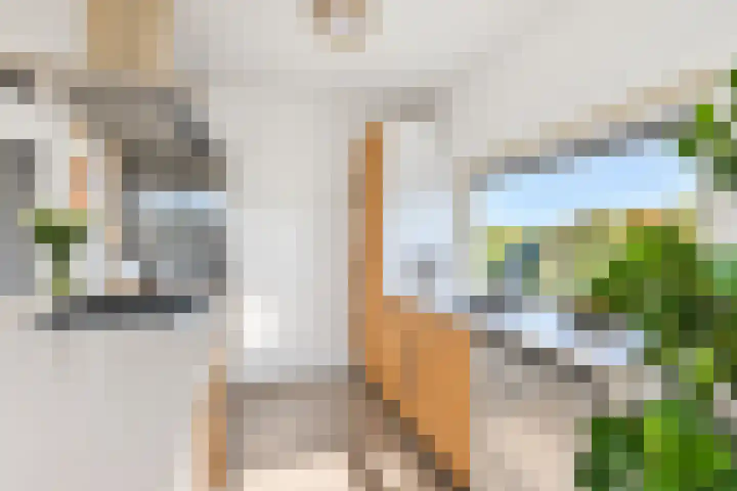 Granaathorst 375 Den Haag thumbnail 14