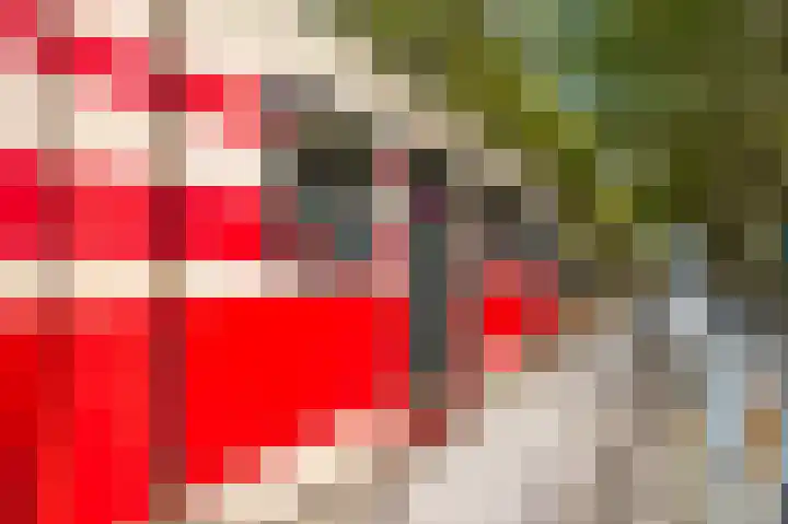 Granaathorst 399 Den Haag thumbnail 6