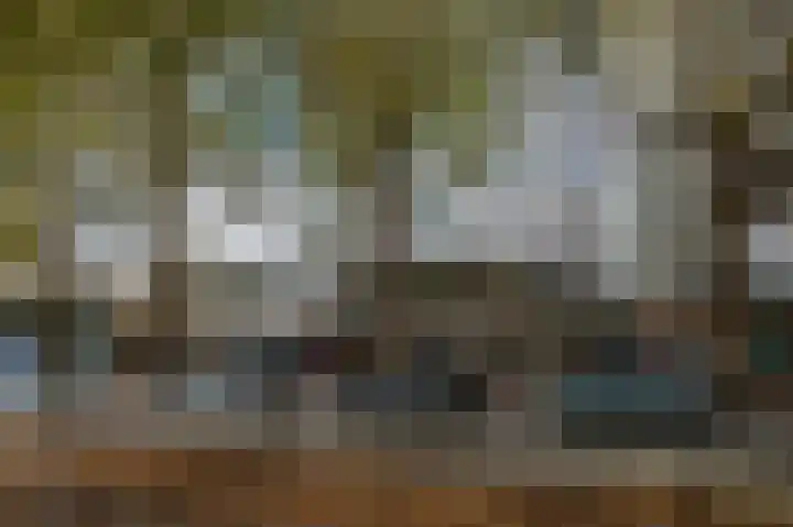 Granaathorst 399 Den Haag thumbnail 7