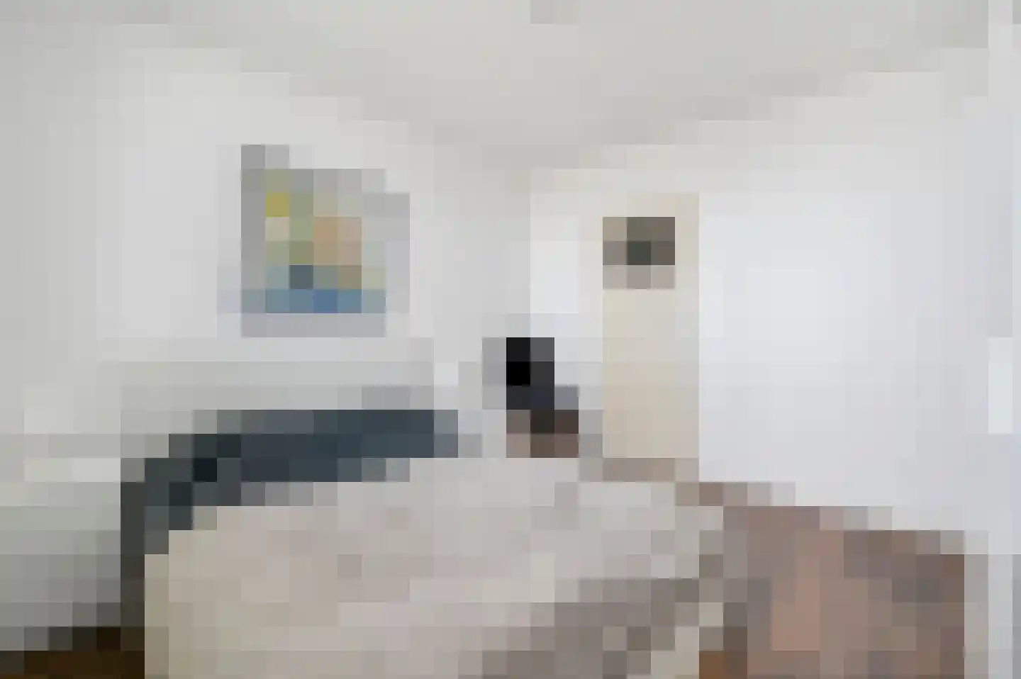 Granaathorst 433 Den Haag thumbnail 15