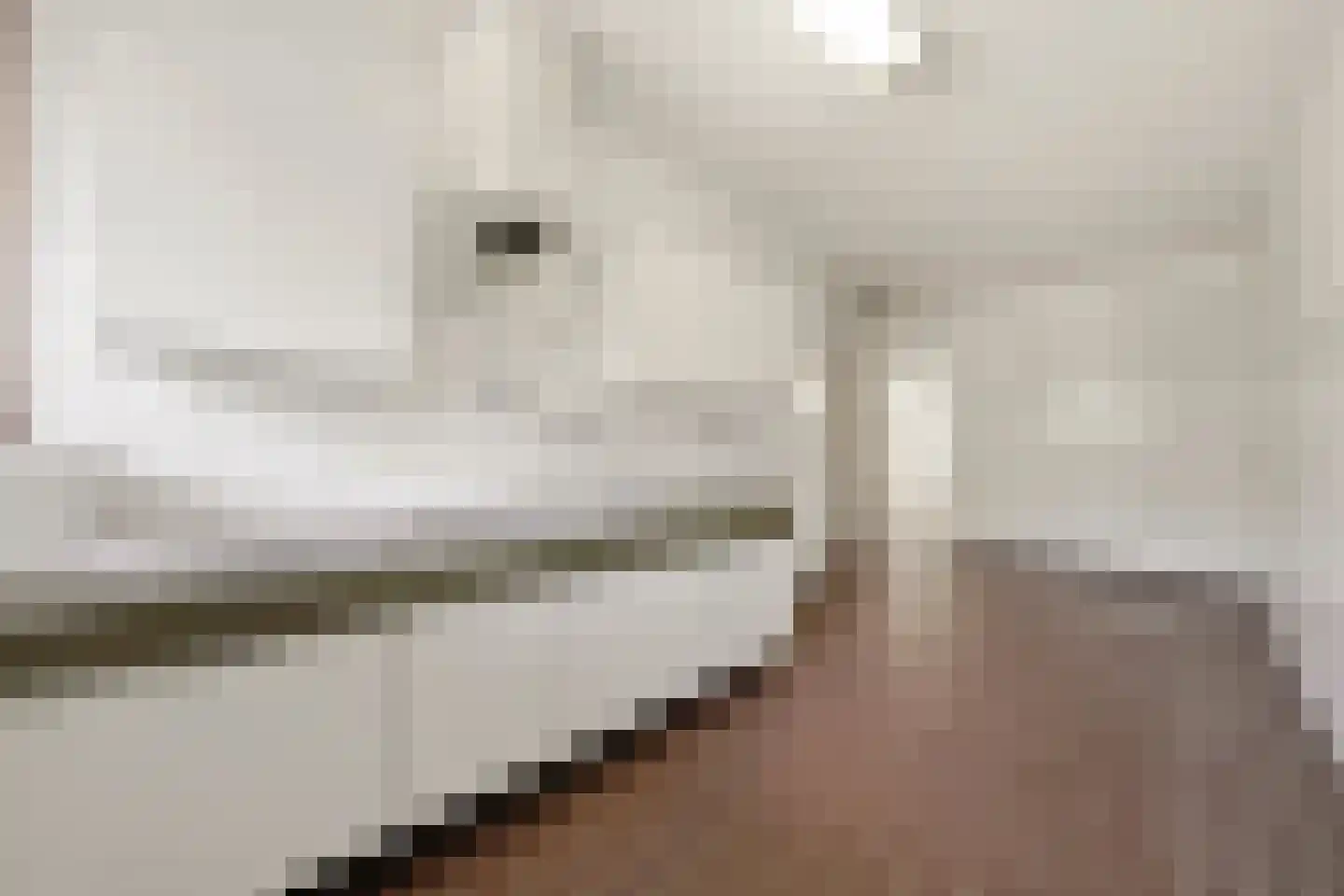 Granaathorst 61 Den Haag thumbnail 17