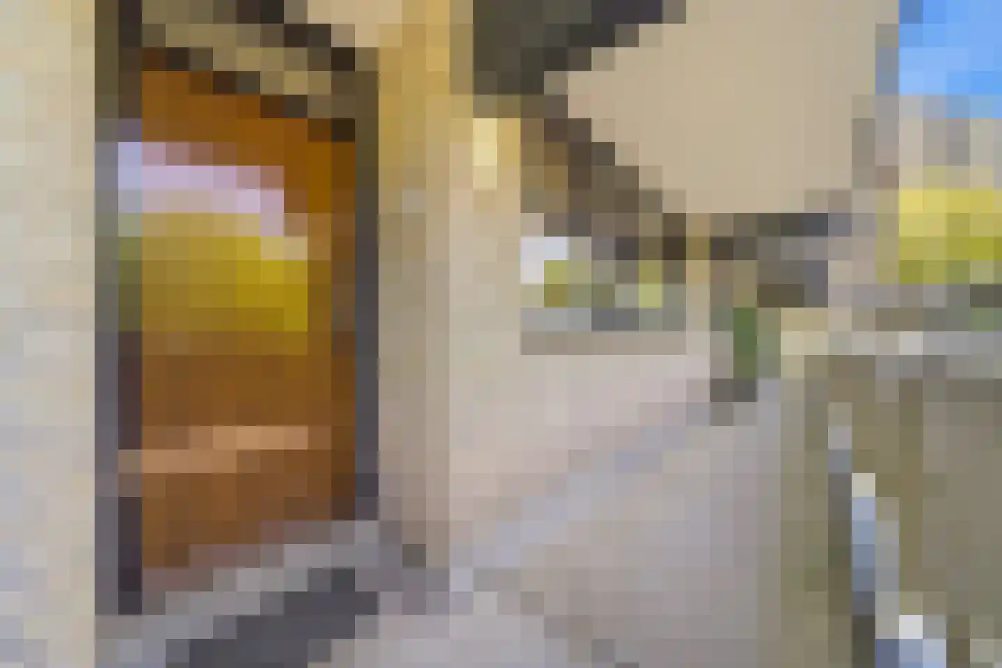 Granaathorst 61 Den Haag thumbnail 7