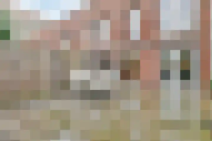Granaatplein 2 Leiden thumbnail 15