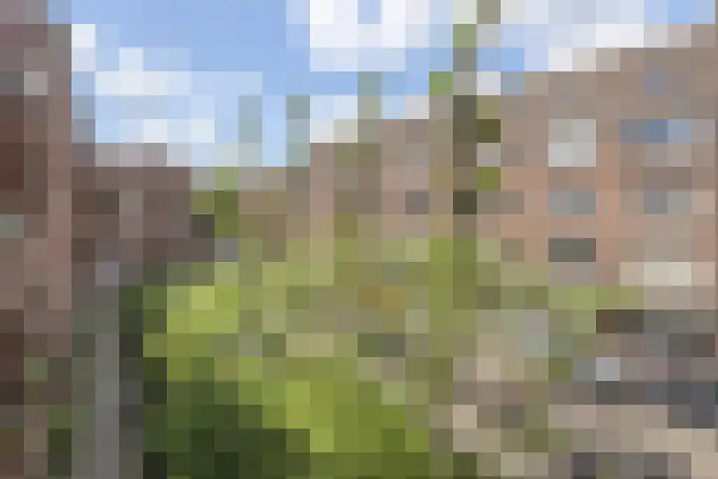 Granaatstraat 38 Amsterdam thumbnail 30