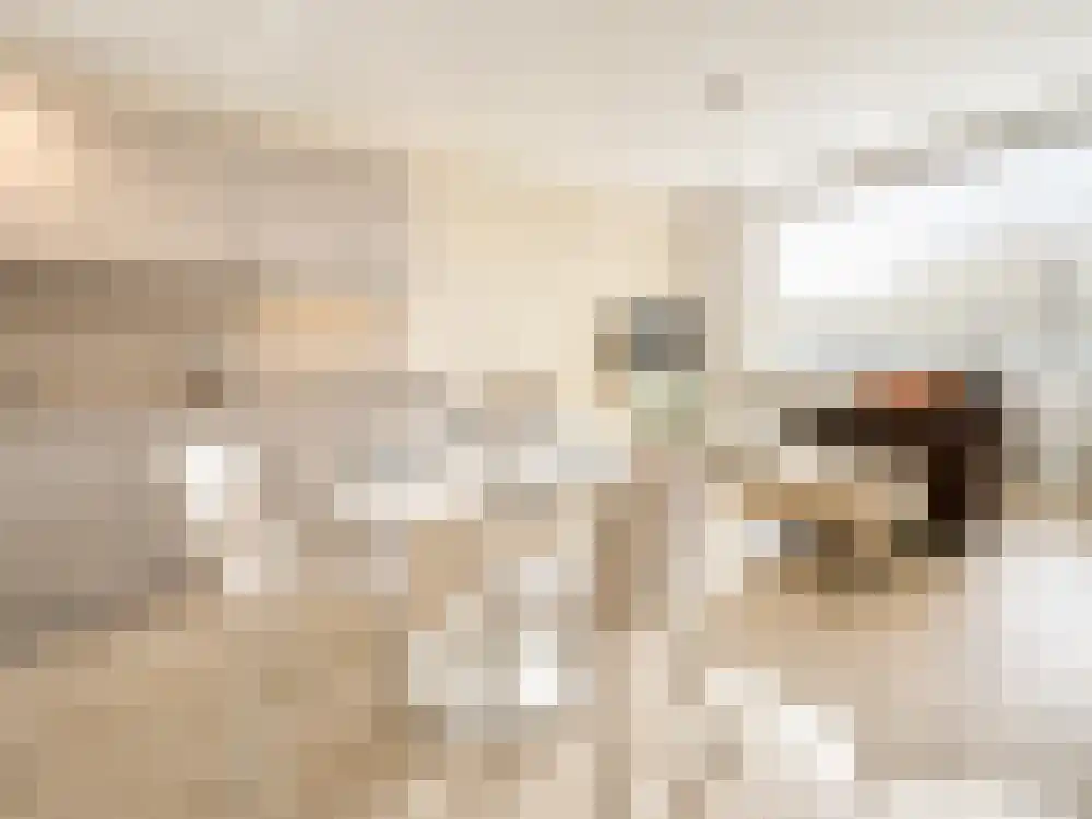 Granadoslaan 102 Rotterdam thumbnail 9