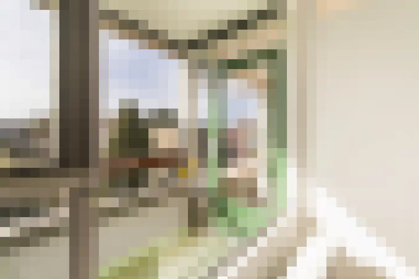 Granadoslaan 106 Rotterdam thumbnail 24