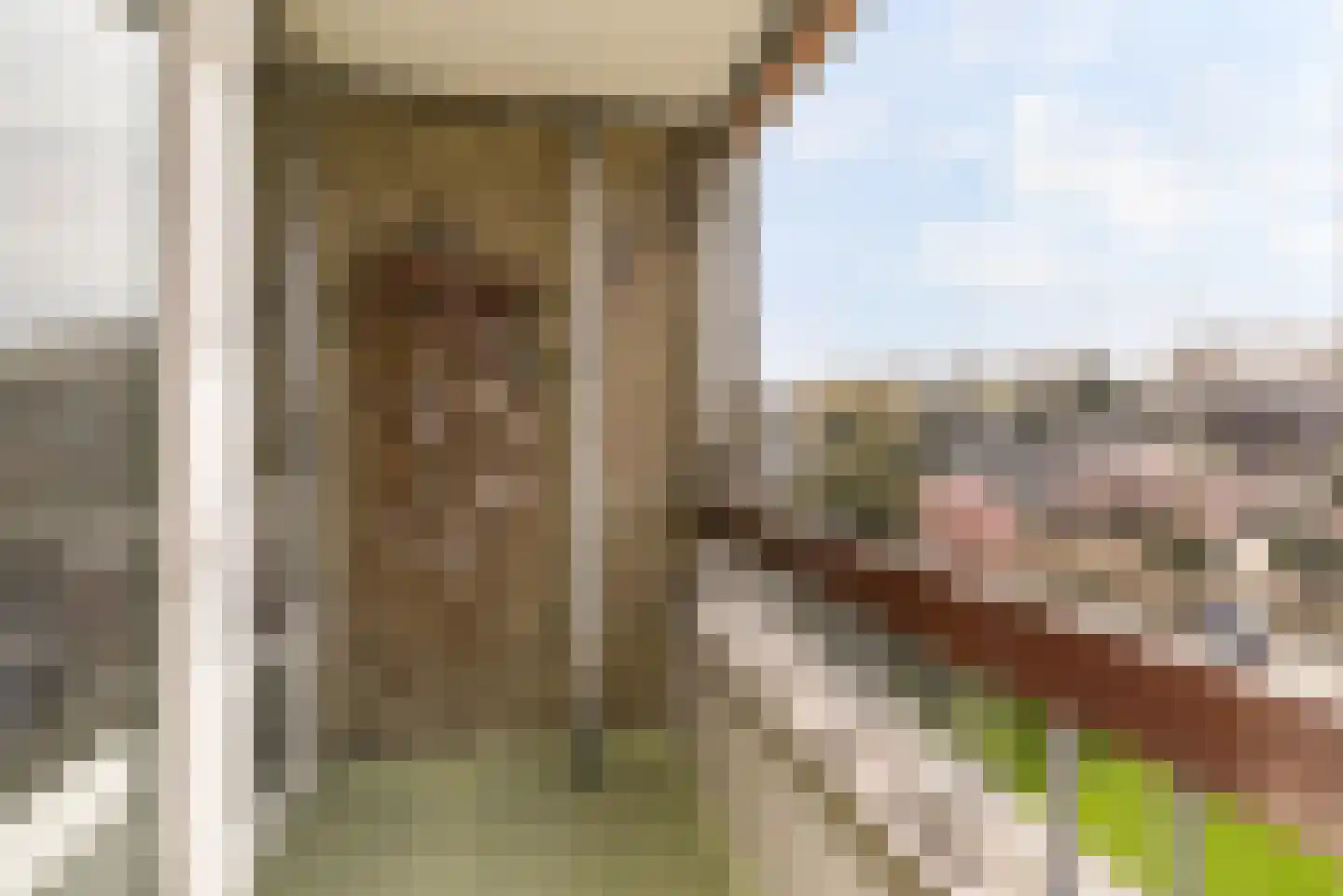 Granadoslaan 106 Rotterdam thumbnail 26