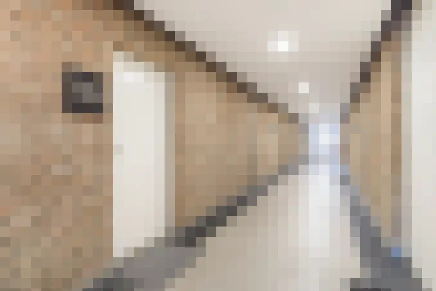 Granadoslaan 106 Rotterdam thumbnail 39