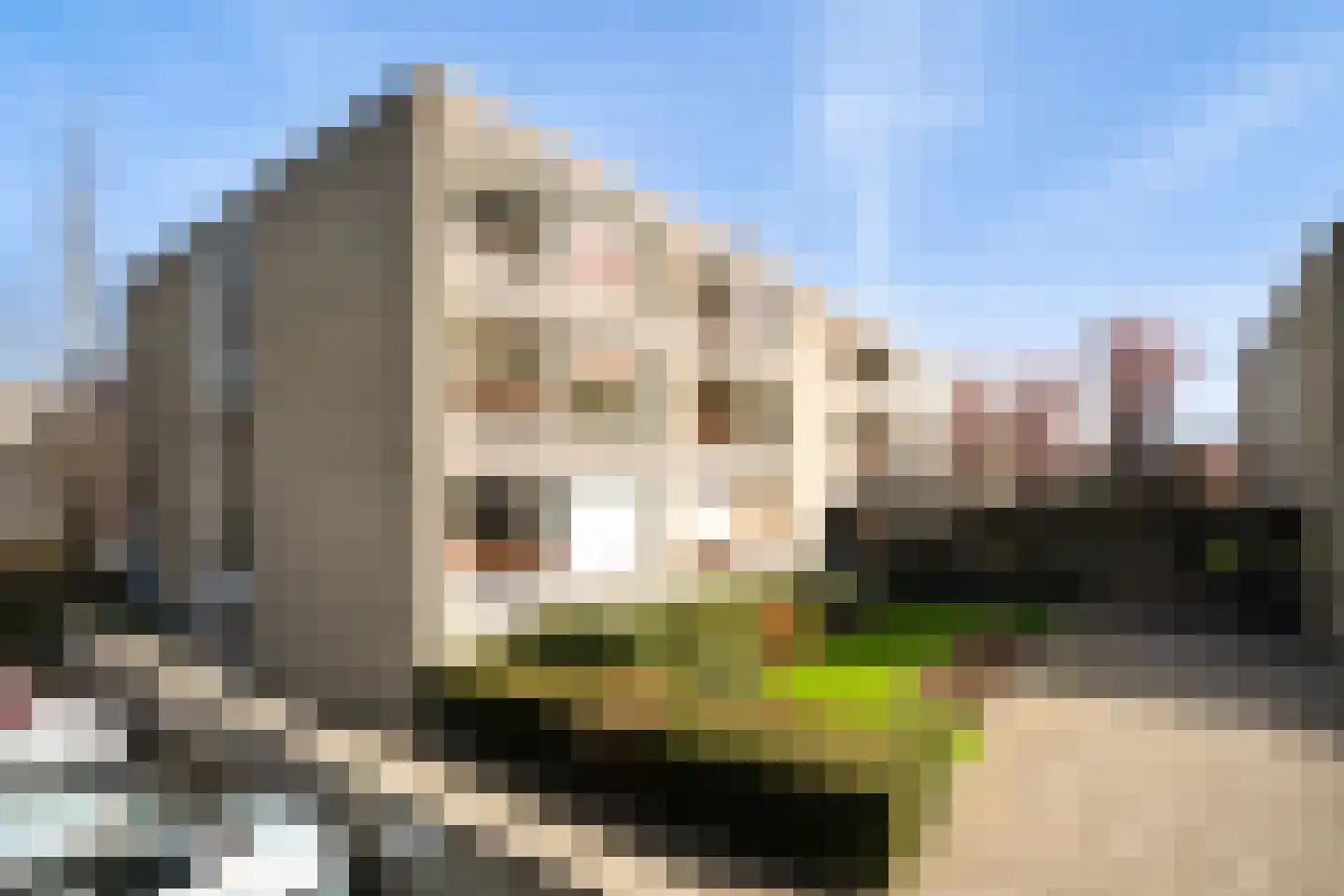 Granadoslaan 106 Rotterdam thumbnail 42