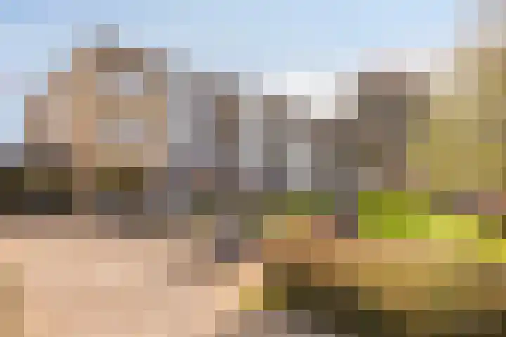 Granadoslaan 12 Rotterdam thumbnail 19