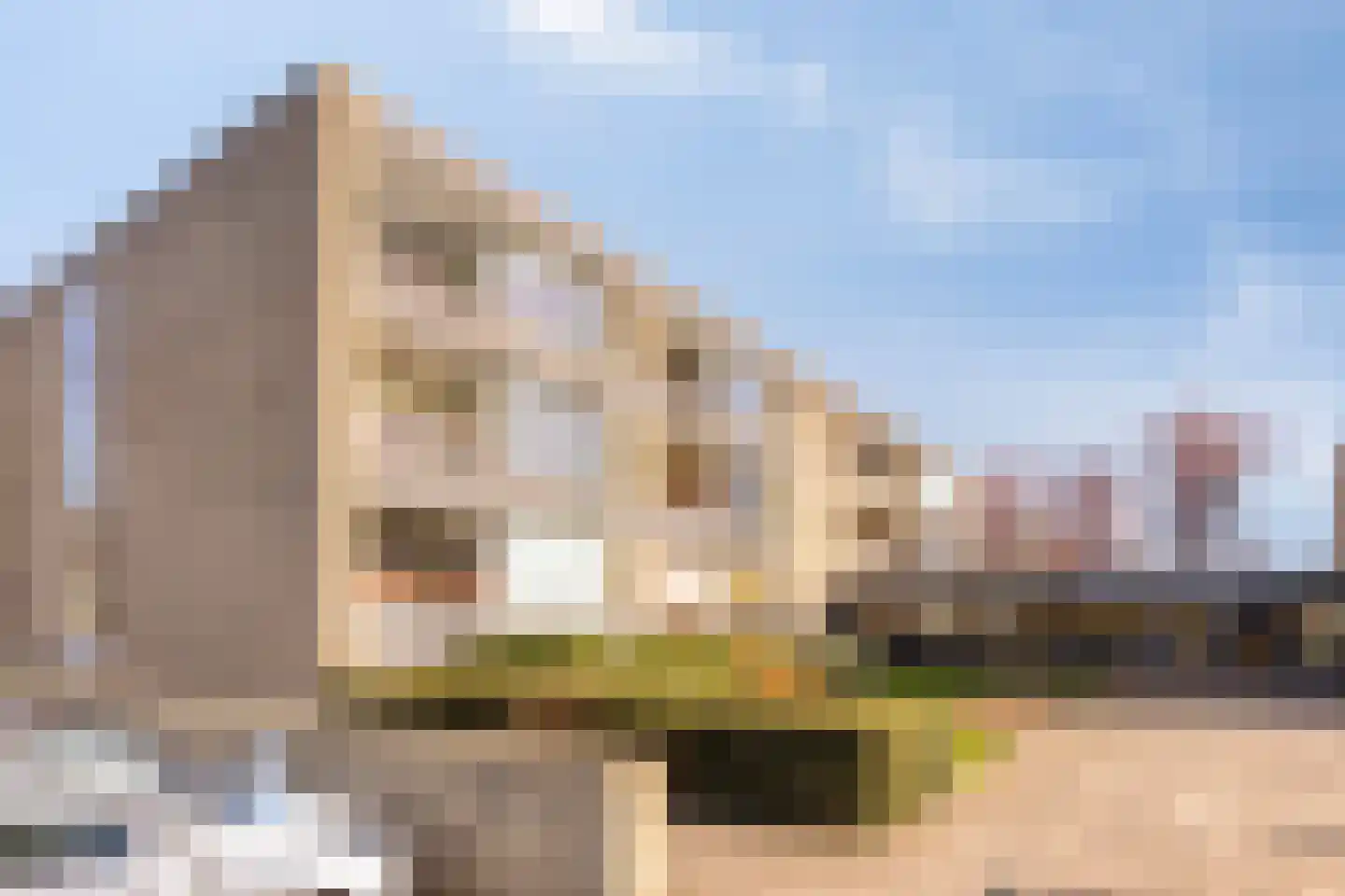 Granadoslaan 12 Rotterdam thumbnail 5