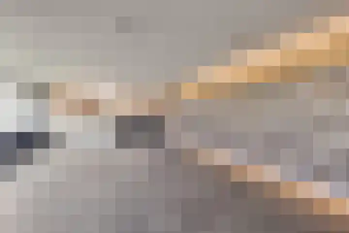 Granadoslaan 12 Rotterdam thumbnail 7