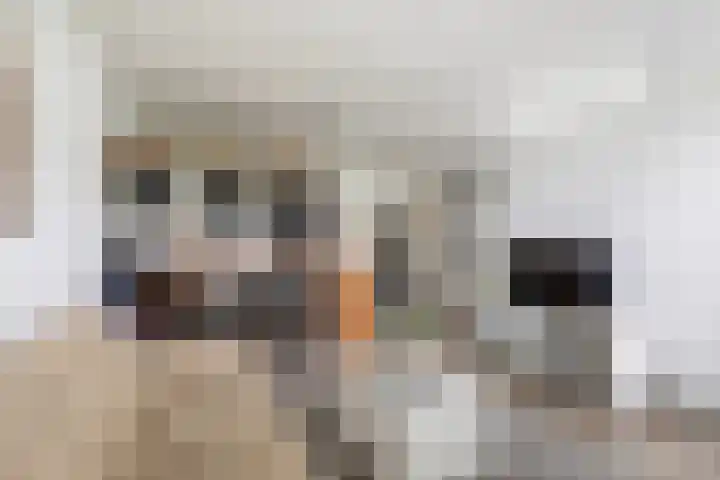 Granadoslaan 128 Rotterdam thumbnail 10