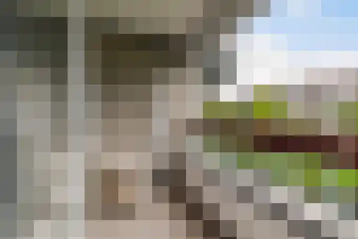 Granadoslaan 128 Rotterdam thumbnail 15
