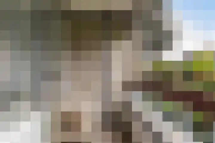 Granadoslaan 128 Rotterdam thumbnail 16