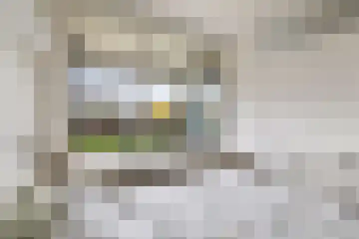 Granadoslaan 128 Rotterdam thumbnail 18