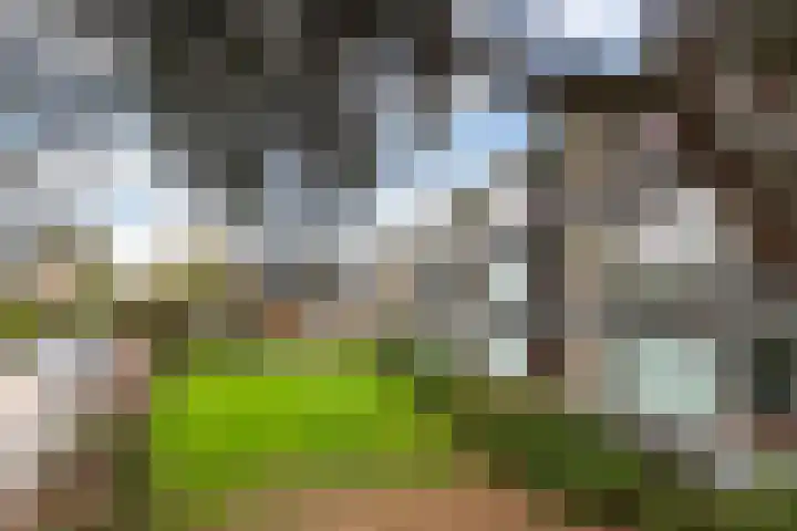 Granadoslaan 128 Rotterdam thumbnail 23
