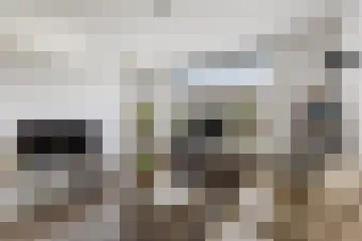 Granadoslaan 128 Rotterdam thumbnail 8