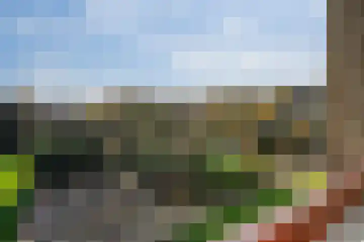 Granadoslaan 132 Rotterdam thumbnail 10
